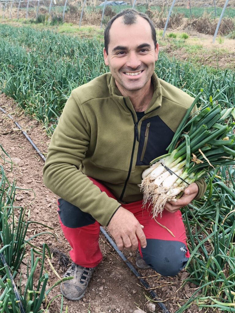 Proveïdors de menjar ecològic escoles