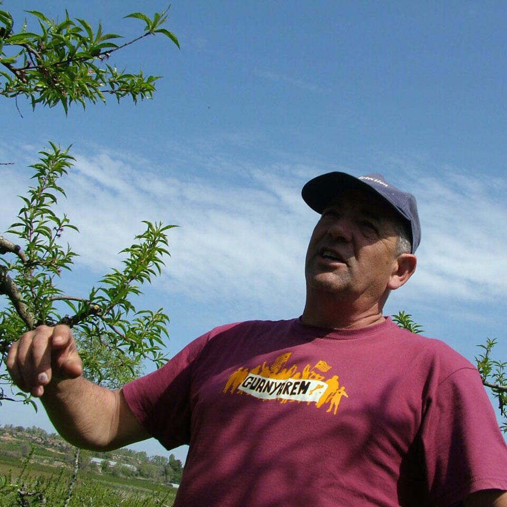 Proveïdors de menjar ecològic escoles