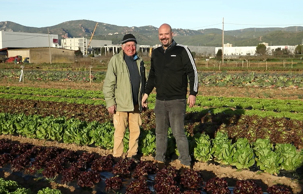 Proveedores de comida ecológica escuelas