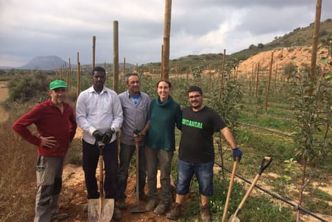 Proveïdors de menjar ecològic escoles