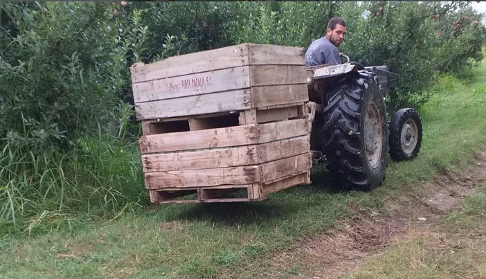 Proveïdors de menjar ecològic escoles