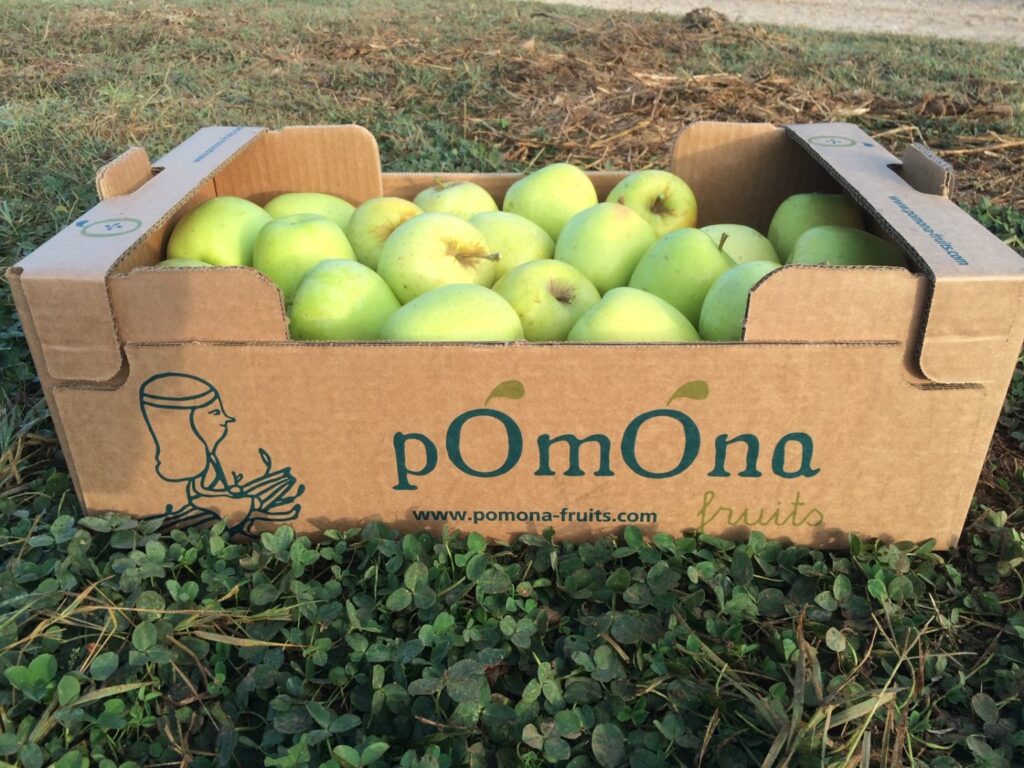 Proveedores de comida ecológica escuelas